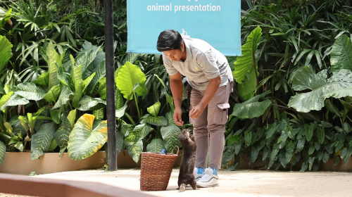 Bali Zoo