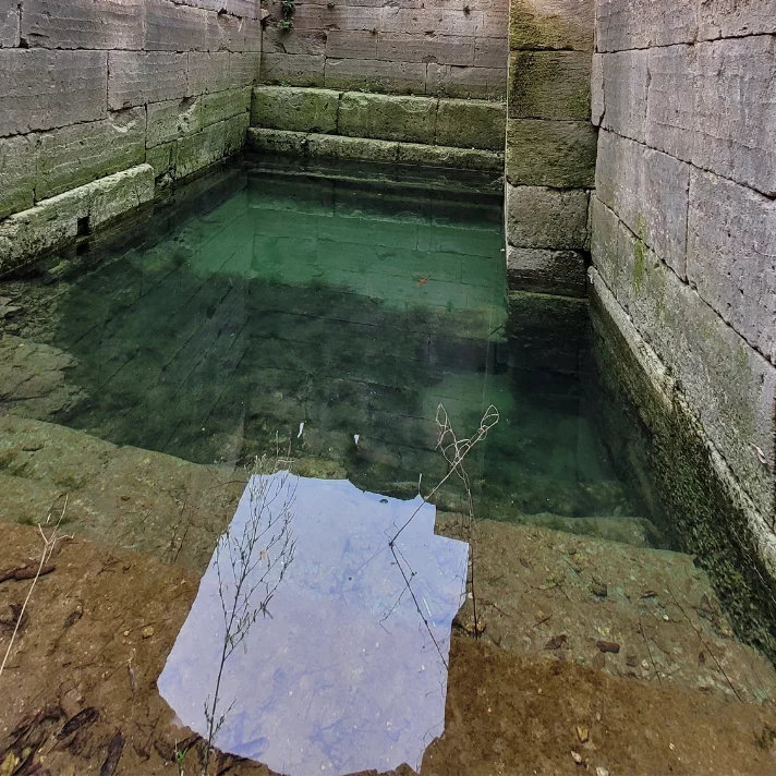 Site Archéologique de Glanum