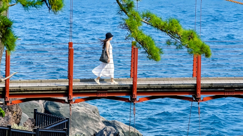 Private chartered tour in Tokyo and Izu to Mt. Omuro + Jogasaki Coast + Cactus Park. Customizable itinerary