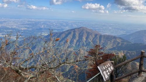 Nagashima Outlets & Mt. Gozaisho one-day tour(Depart from Nagoya)