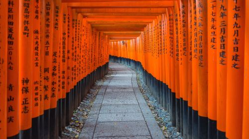 1-day tour to Kyoto, Nara and Uji – Nara Park, Byodoin Temple