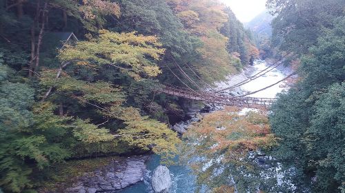 Iya Valley BROMPTON Slow Cycling Tour Day Tours