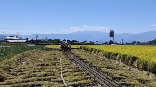 Private Electric Bike Tour & Soba Lunch Day Tours