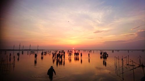 Gaomei Wetlands & Zhongshe Flower Market Tour with Free Bubble Tea Day Tours