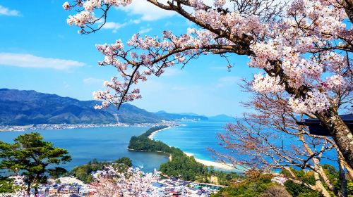 Kyoto's Seaside Day Tour: Amanohashidate & Ine Funaya