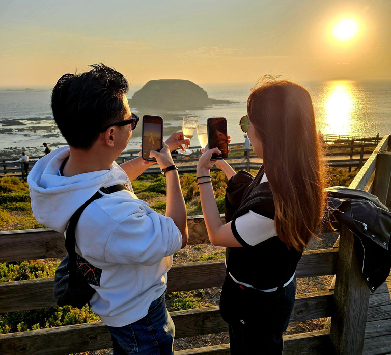 Phillip Island: Golden Hour Penguin Express Tour