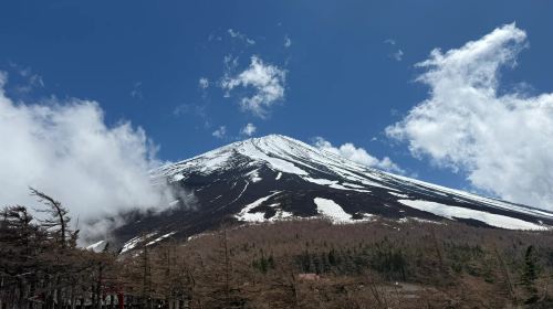1-day tour to Mount Fuji, Oshino hakkai, 5th station and Gotemba Premium Outlets from Tokyo