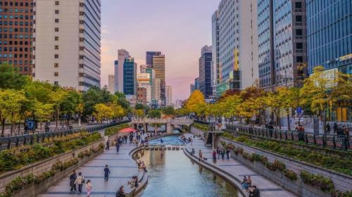 Seoul Night Tour Highlights – Gwangjang Market