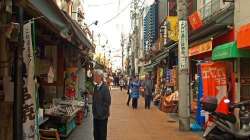 [Akihabara Storage House] One-Day Cycling Tour in Tokyo - Cycling Experience
