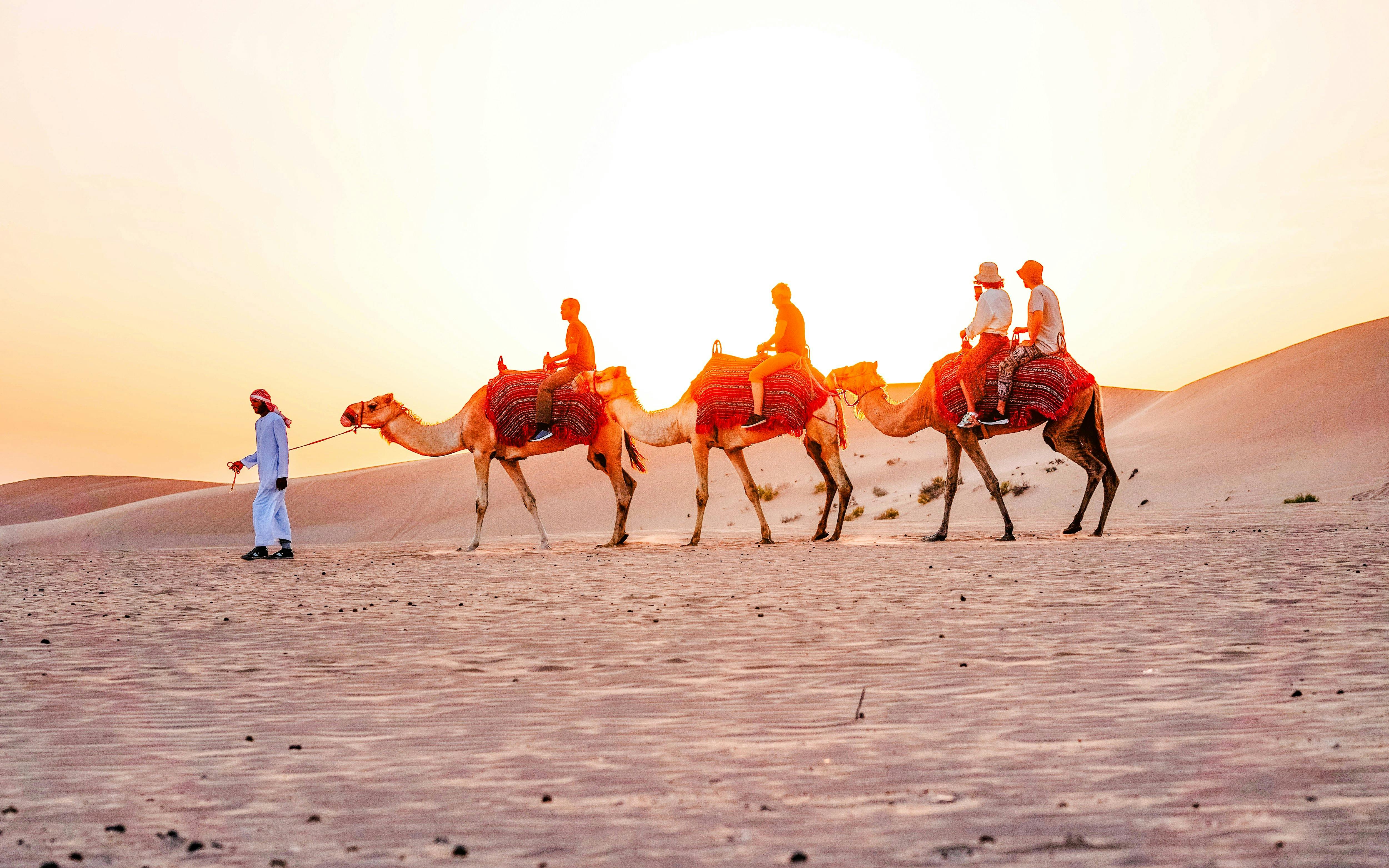 Abu Dhabi Morning Desert Safari with Camel Ride, Dune Bashing & Sandboarding
