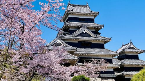 Matsumoto Castle, Sake & Local Bites Walking Tour Day Tours