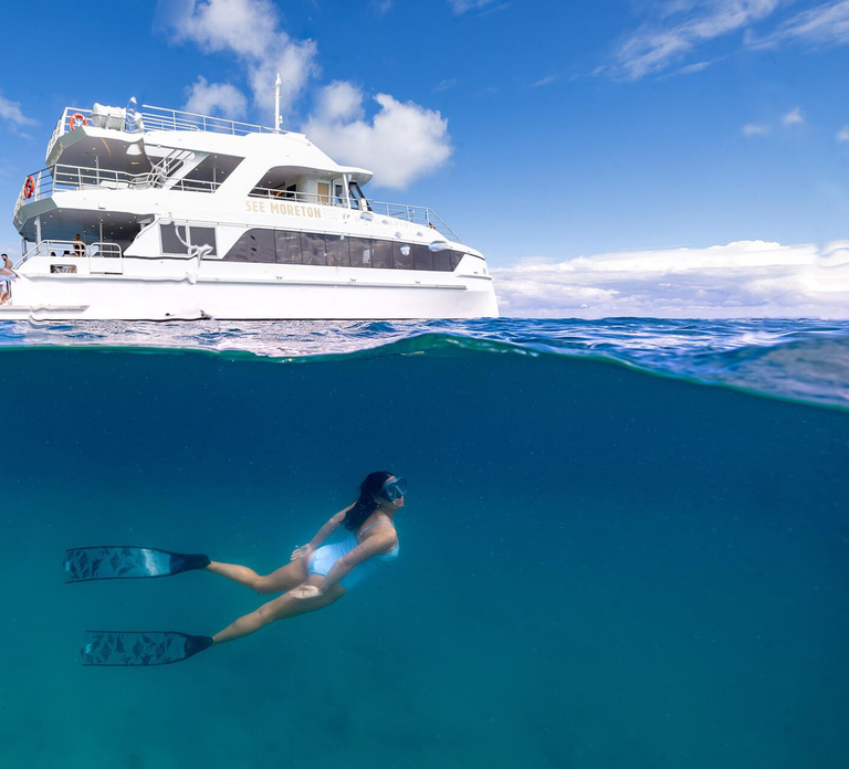 Moreton Island: All Inclusive Tangalooma Wrecks Snorkel Tour
