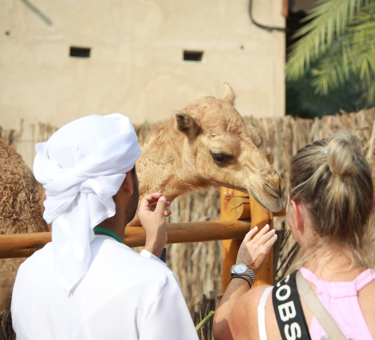 Private Walking Tour in Dubai / Old Dubai Tour