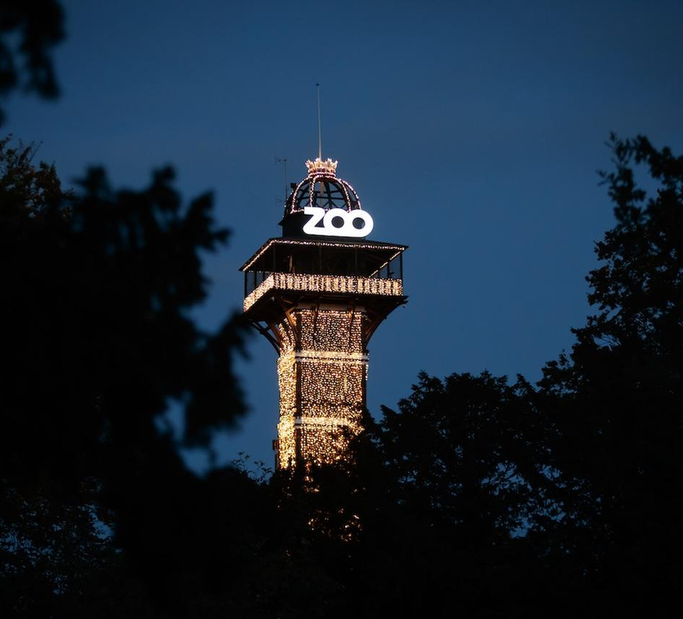 Copenhagen: Copenhagen Zoo Tower Entry Ticket