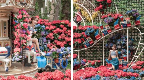 Flower Home