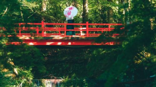 Japan Discovery Tour – Lake Biwa, Shirahige Jinja, Observation Deck