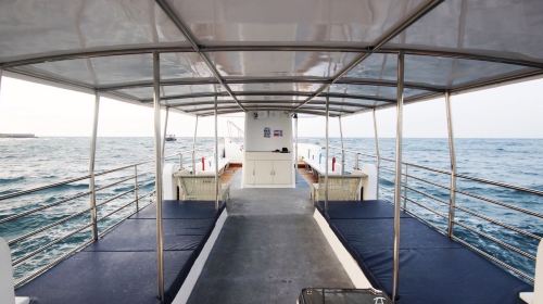 Discover Lamay