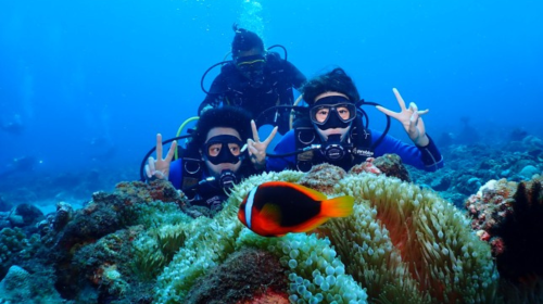 Pingtung Liuqiu Island diving Experience Scuba diving 2 hours – Xiaoliuqiu One-to-one No License diving Experience