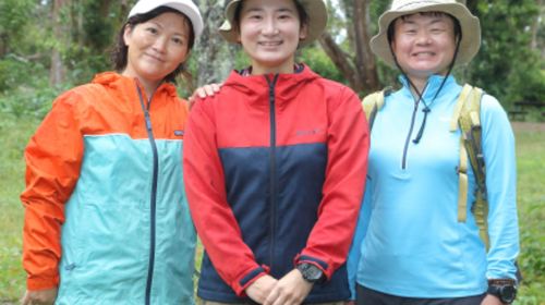 Healing Walk Workshop Experience at Minamiboso City Tourist Information Center