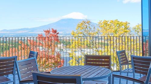 One-Day Fuji Mountain Hot Spring Tour Day Tours