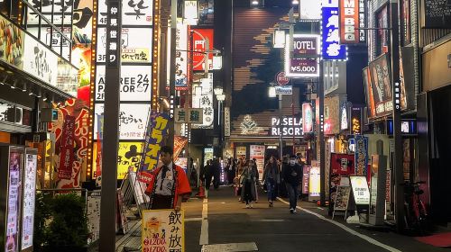 Shinjuku Golden Gai Food Tour Day Tours