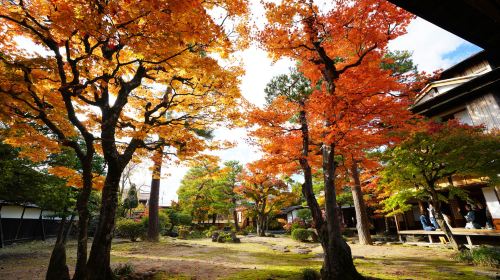 Hida Takayama Day Tours