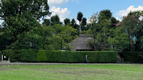 Kyoto: Stroll around the Depths of Arashiyama Day Tours