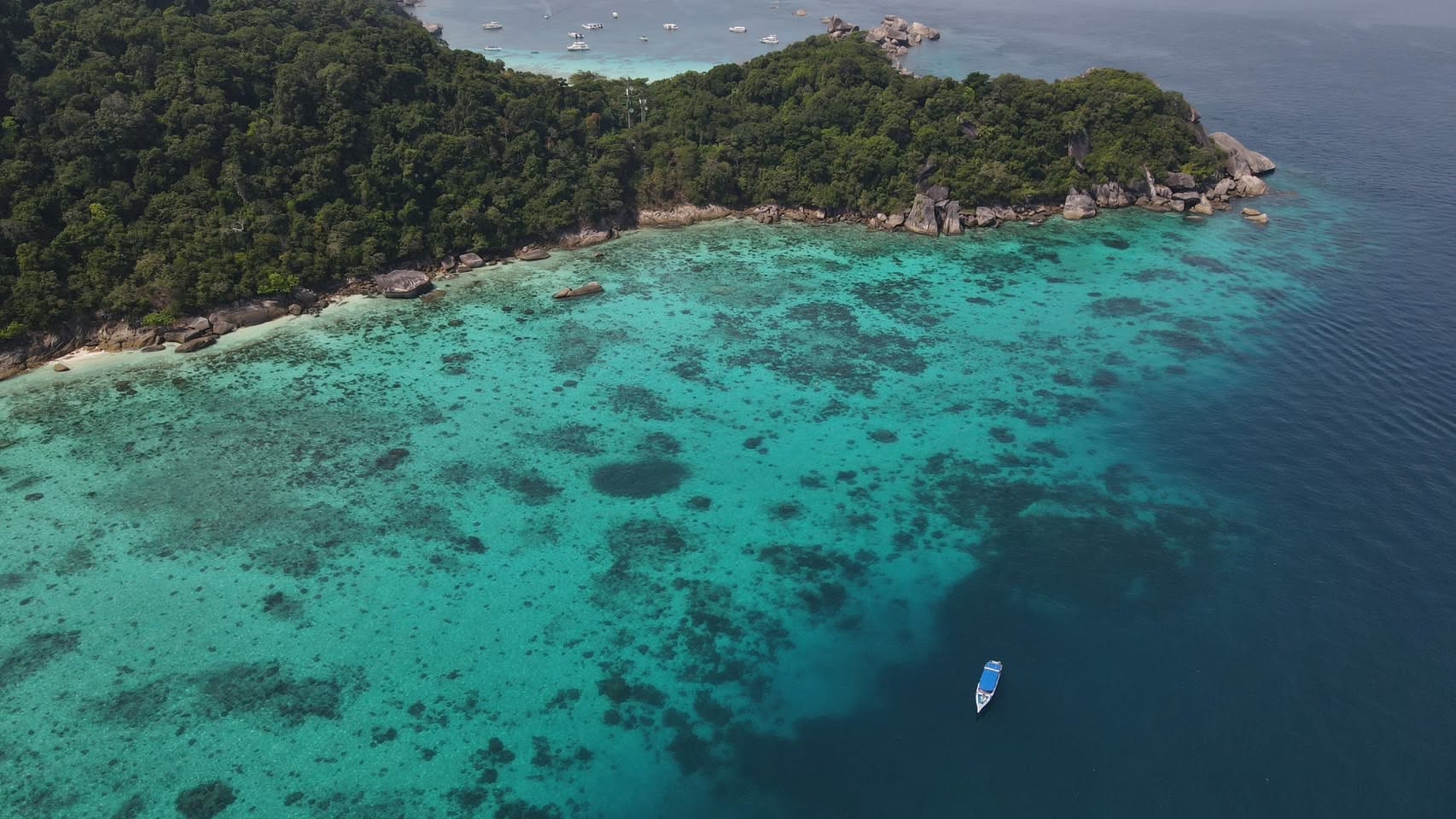 Phuket: Koh Khai + Phi Phi Islands 1-day tour (TSK)
