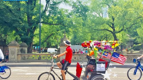 Central Park Pedicab Rickshaw Tours Day Tours