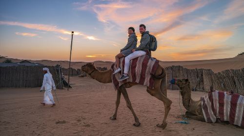 Self-Arrival Desert Safari with Falcon Photo Day Tours