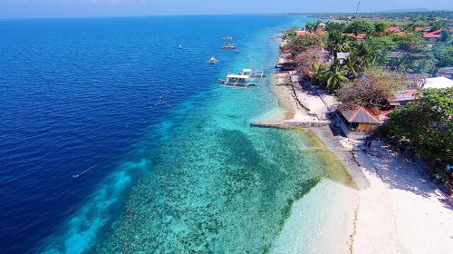 Philippines Moalboal Sardine Run Diving