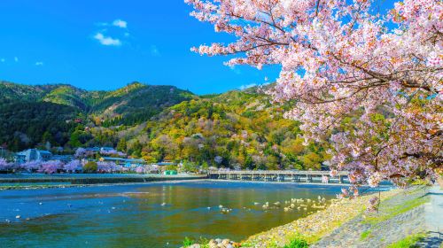 1-day in-depth tour to Arashiyama in Kyoto – Boarding and drop-off available in Kyoto/Osaka