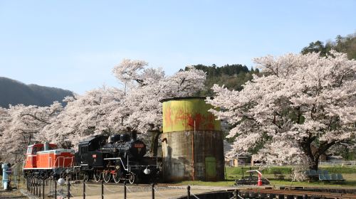 Tottori City Pass|Enjoy Tottori|Tottori Fun Pass 1 Week Free Pass