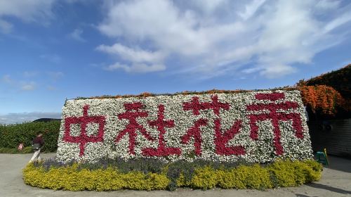 Gaomei Wetlands & Zhongshe Flower Market Tour with Free Bubble Tea Day Tours