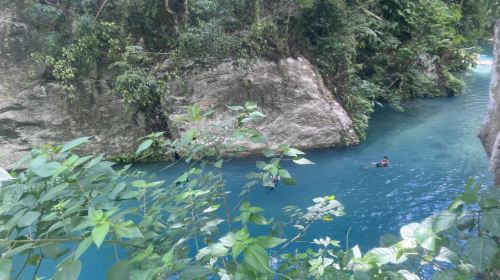 Cebu: Oslob Whale Shark Watching + Badian Kawasan Falls canyon adventure 1-day tour