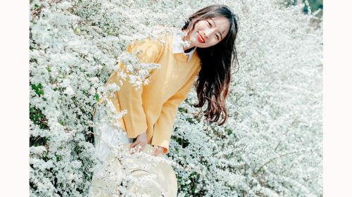 Japan Akita travel photography[Photographer Services: Following Shots, Aerial Photography, Scheduled Shoots, Candid Photography, Street Photography, Portraits, Wedding Photography, Micro Films/Multili