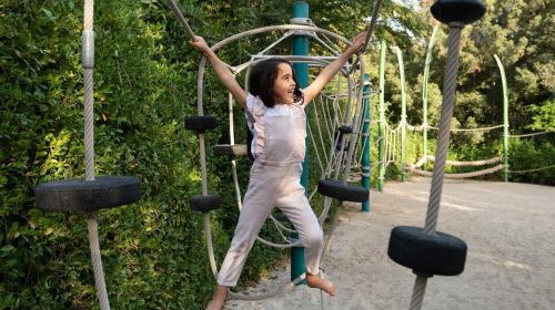 Sharjah: Al Noor Island and Butterfly House Entry Ticket Day Tours