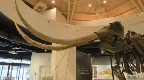 Genbudo Museum