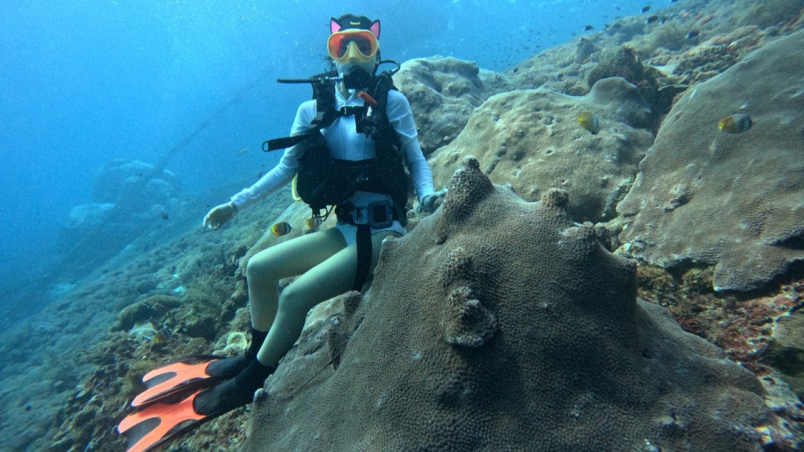 1#Ultimate Caspla Tour & Watersport Packages