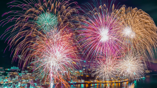 Small Group 1-Day Tour to Atami Fireworks Festival, Izu with Tokyo Hotel Pick-up