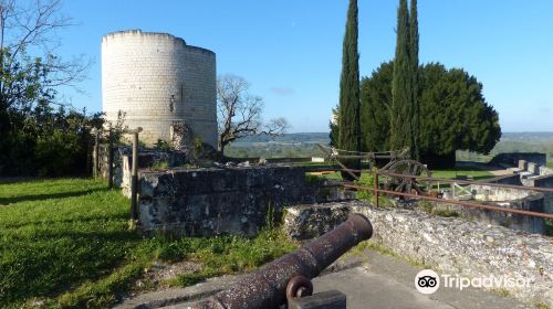 Castle de Chinon