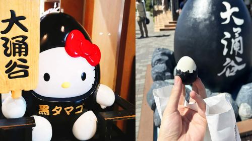 1-day Tour to Owakudani in Hakone on the Pirate Ship – Includes Cable Car Ticket