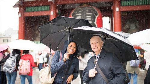 Tokyo: Private Custom Insider Tour with a Local Host Day Tours