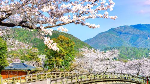 Footbath (Onsen) of Arashiyama Station Day Tours