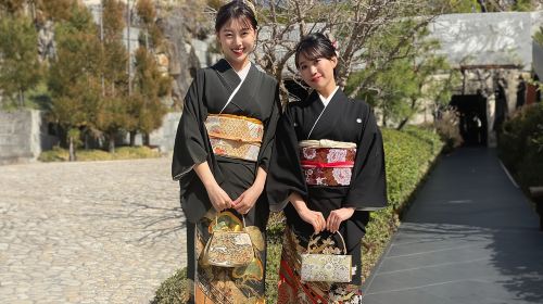 Kyoto Kimono Rental mimosa Kodaiji Store *Kurotomesode Rental – Elegant Attire for Formal Events Made Easy*