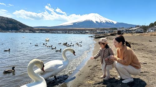 Japan Tokyo Mt. Fuji Lake Kawaguchi & Yamanakako & Lawson/Hikkawa one-day tour