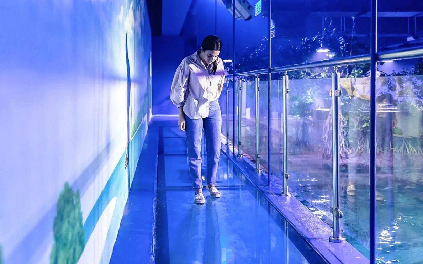 National Aquarium Abu Dhabi All Access Pass Tickets