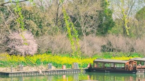 Hangzhou Private Charter Day Tour: West Lake, Songcheng & Lingyin Temple