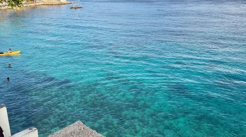 Siquijor Island Day Tour: Enchanted Old Tree & Vine Jumping & Church & Beach