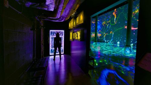 ARTECHOUSE NYC